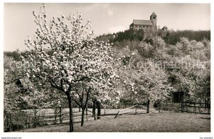 Weinheim Bergstrasse Wachenburg