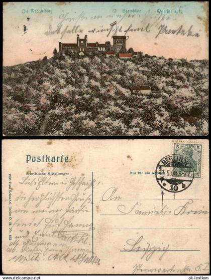 Ansichtskarte Werder (Havel) Die Wachtelburg Baumblüte 1906