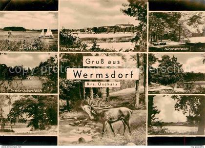 Wermsdorf Horstsee Wermsdorf Kirchenteich Dreibrueckenteich