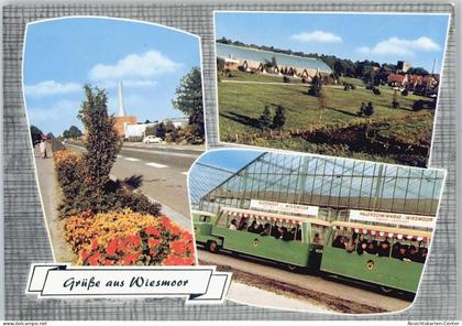 50969091 - Wiesmoor