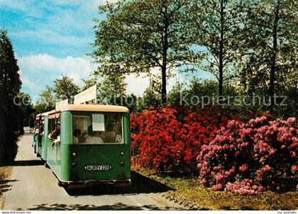Wiesmoor Aurich Niedersachsen Gaertnerei Azaleen Rhododendronkulturen