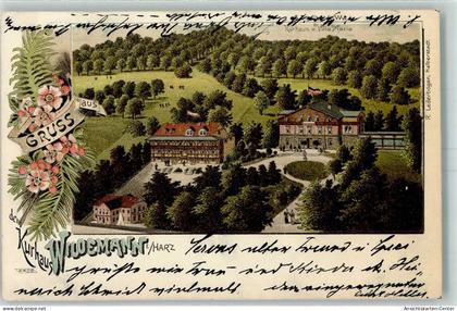 13427056 - Wildemann