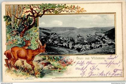 13581142 - Wildemann