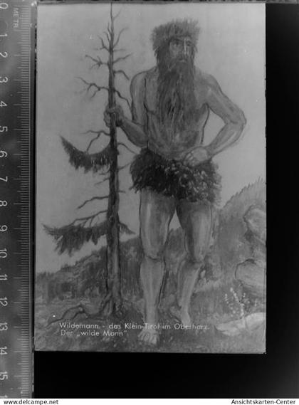 30047415 - Wildemann