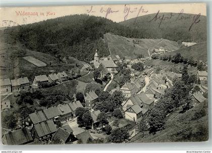 38015392 - Wildemann