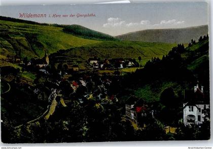 50797685 - Wildemann