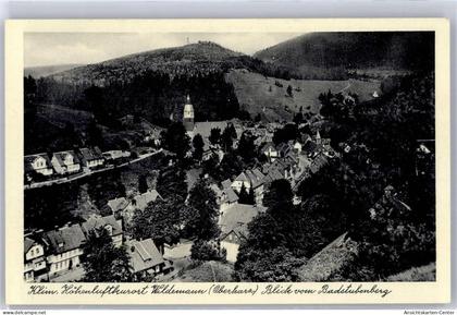 51268248 - Wildemann