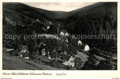 Wildemann Landschaftspanorama Spiegeltal