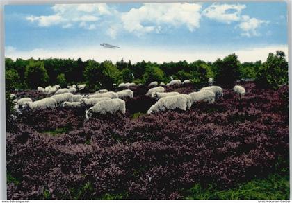 50968156 - Wildeshausen