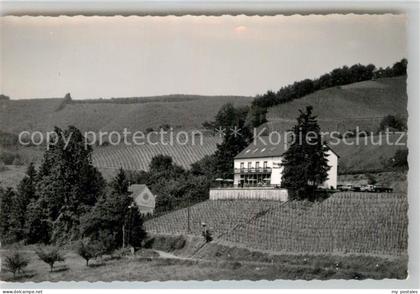 Wittlich Felsenburg