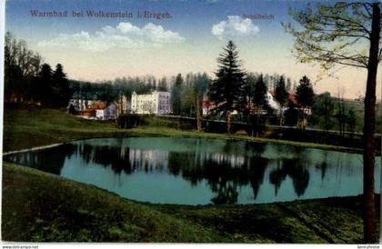 Warmbad bei Wolkenstein - Schilfteich