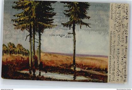 50668225 - Worpswede