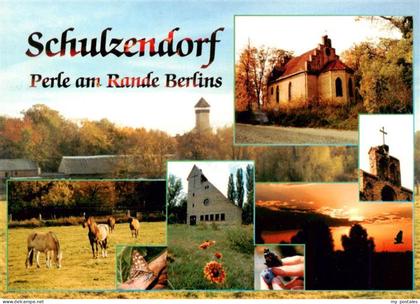 Schulzendorf Bad Freienwalde Aussichtsturm Kirche Pferdekoppel Kirche Panorama