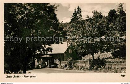 Zella-Mehlis Sterngrund