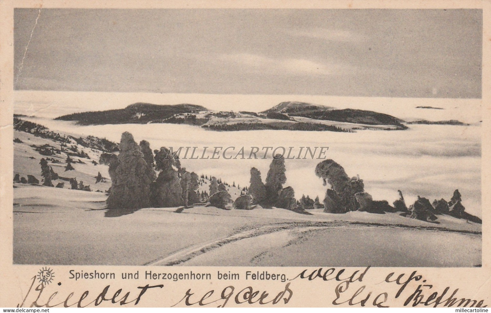 GERMANY - Feldberg - Spieshorn und Herzogenhorn beim Feldberg 1908