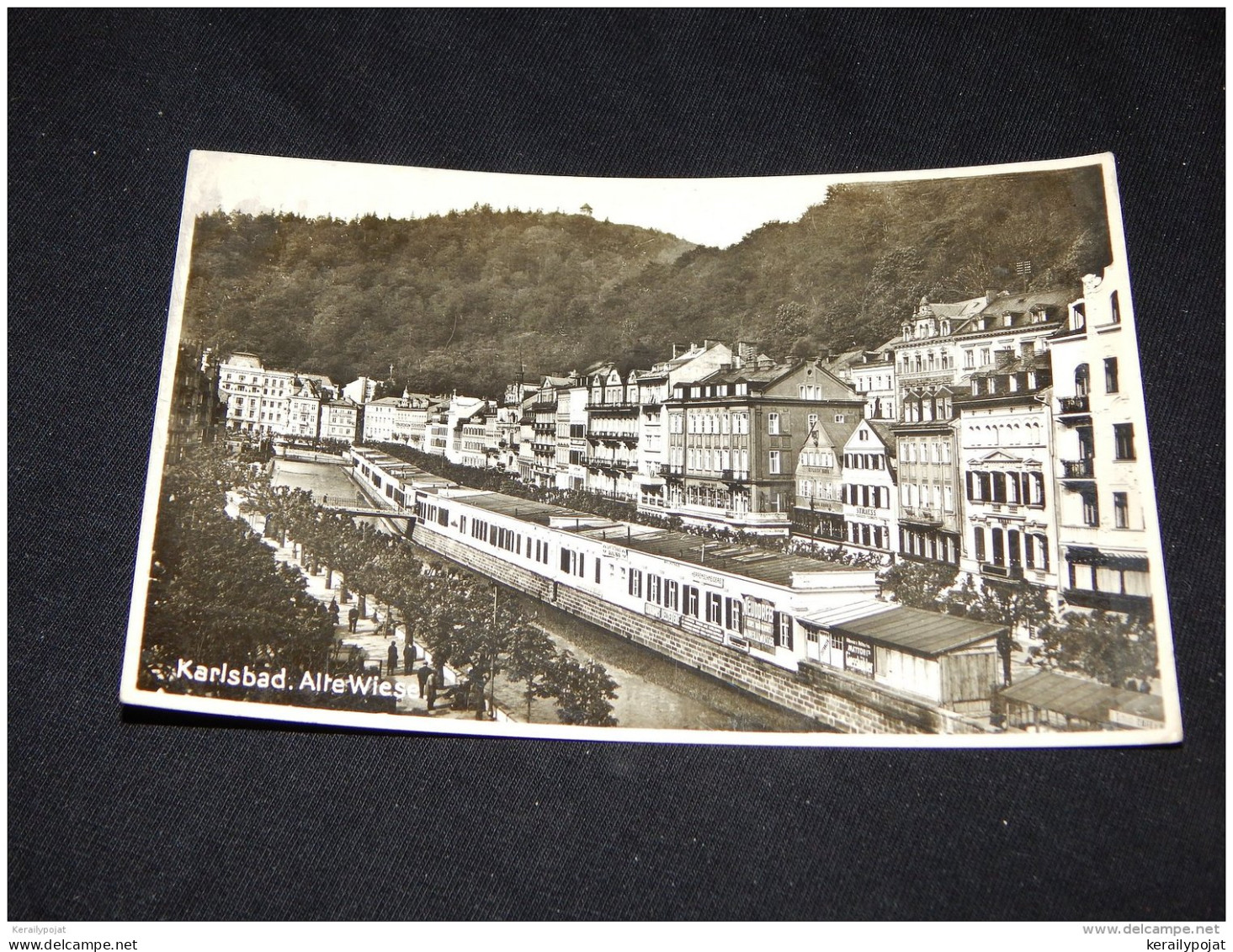 Germany Karlsbad Alte Wiese -34__(19713)