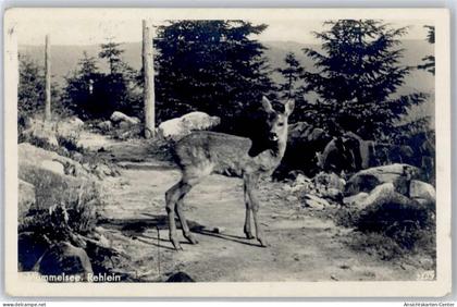 51017479 - Achern , Baden