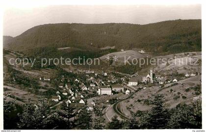 Alpirsbach Panorama