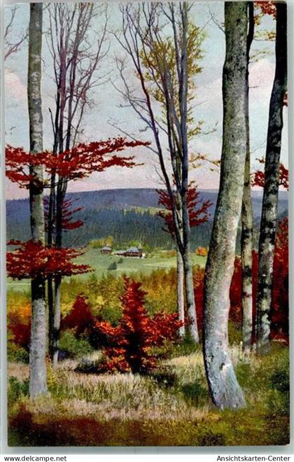 10398818 - Rehefeld-Zaunhaus