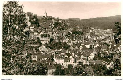 Altensteig Schwarzwald Gesamtansicht