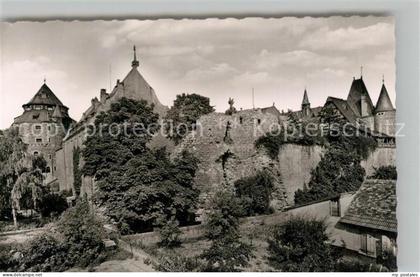 Alzey Schloss