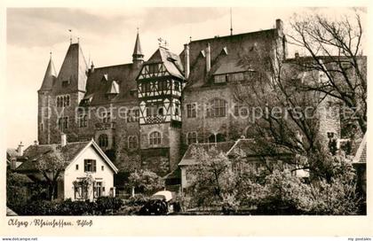 Alzey Schloss