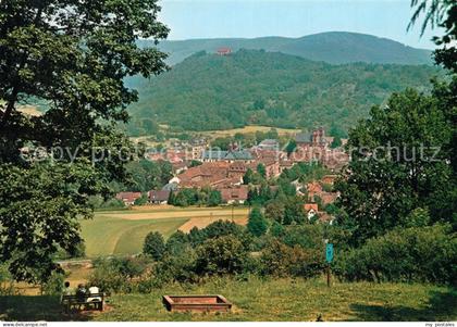 Amorbach Miltenberg Panorama
