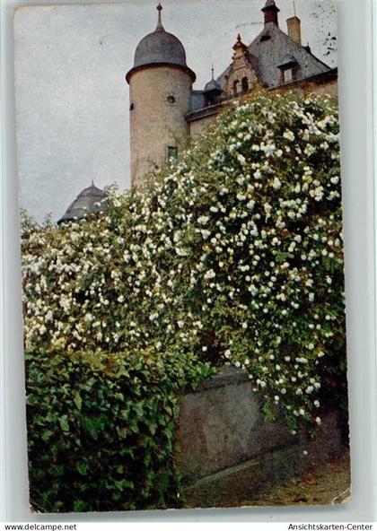 10559816 - Andernach