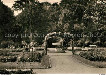 Aschersleben Sachsen-Anhalt Rosarium