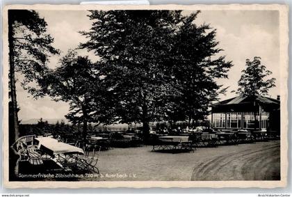 50838450 - Auerbach , Vogtl