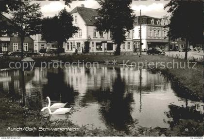 Aurich Ostfriesland Schwanenteich