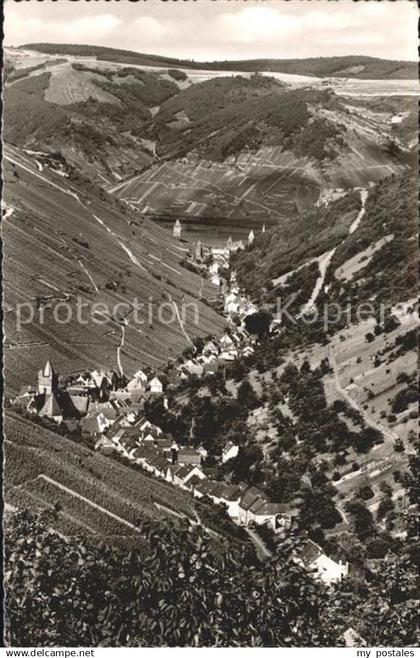 Steeg Bacharach