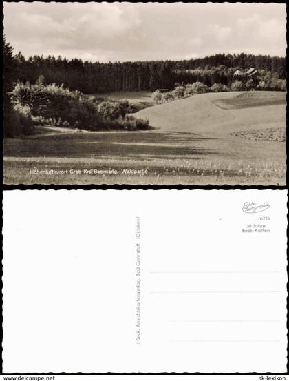 Backnang Umland-Ansichn Höhenluftkurort Grab Krs. Backnang Waldpartie 1950