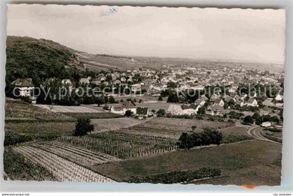 Bergzabern Bad Panorama