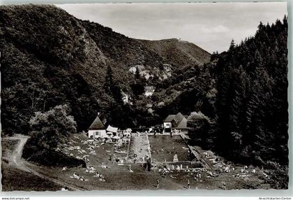 10690296 - Bad Bertrich