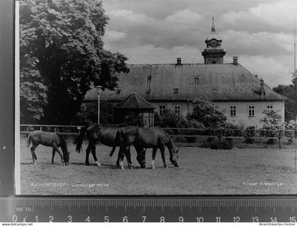 30020085 - Bad Bevensen