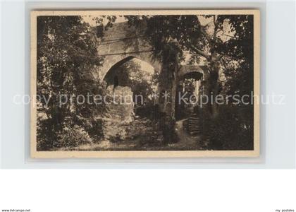 42490097 Blankenburg Bad Ruine Greifenstein Bad Blankenburg