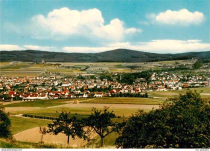 Bad Camberg Panorama