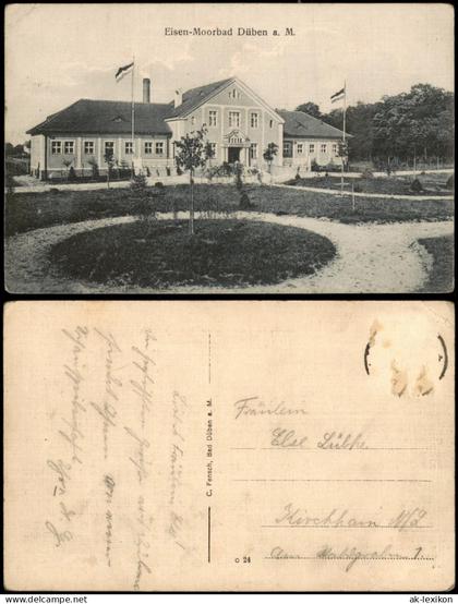 Ansichtskarte Bad Düben Kurpark Eisen-Moorbad Düben a. M. 1910