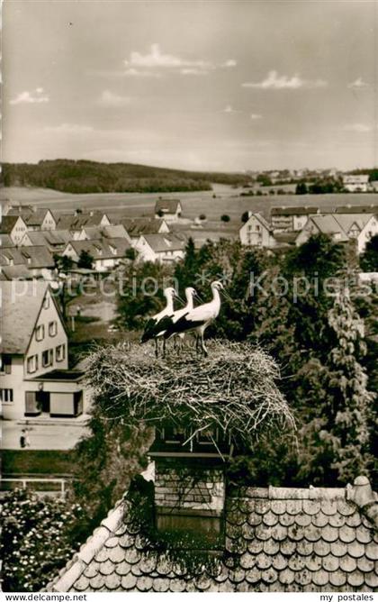 Bad Duerrheim Storchennest