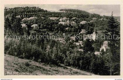 Bad Gottleuba-Berggiesshuebel Panorama