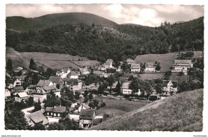 CPA Carte Postale Germany- Bad Grund   VM37720