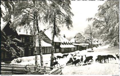 Bad Harzburg Molkenhaus Harz bei Bad Harzburg