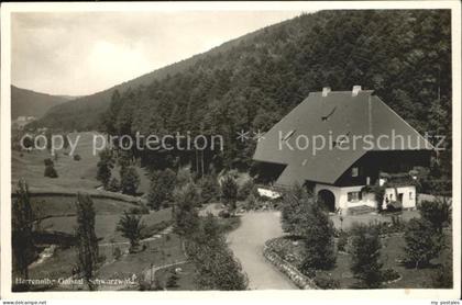 Herrenalb Bad Herrenalb Gaistal