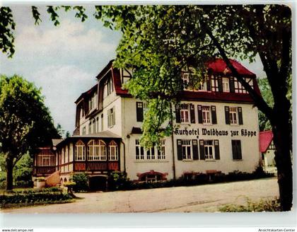 51828535 - Bad Klosterlausnitz