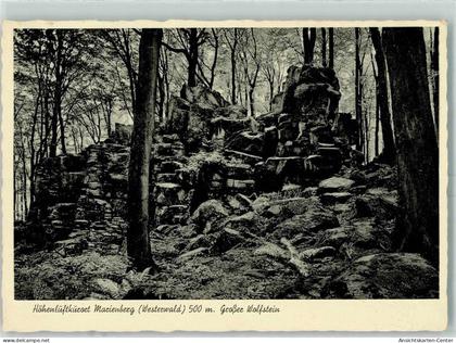 10399567 - Bad Marienberg Westerwald