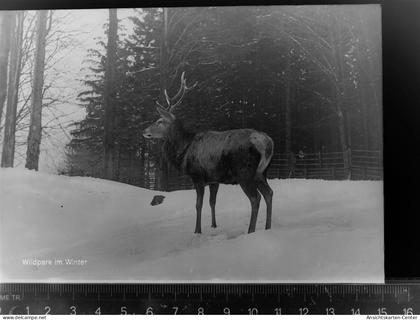 30073390 - Bad Marienberg (Westerwald)