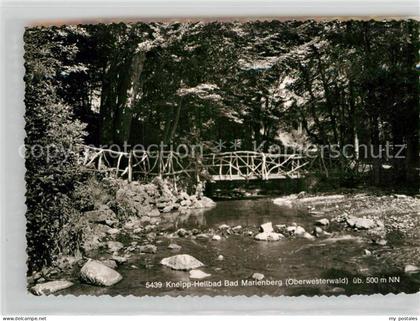 Bad Marienberg Bruecke im Wald