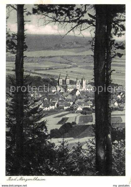 Mergentheim Bad Panorama