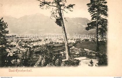 Bad Reichenhall Panorama
